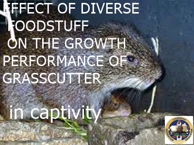 STUDIES ON THE EFFECT OF DIVERSE FOODSTUFF ON THE GROWTH PERFORMANCE OF GRASSCUTTER (THRYONOMYS SWINDERIANUS) IN CAPTIVITY. pdf