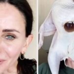Courteney Cox Stuck A Turkey On Her Head For Thanksgiving, Which Is Both Hilarious And Slightly Horrifying