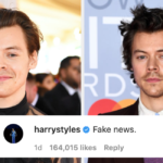 After Clapping Back At Candace Owens, Harry Styles Had More To Joke About On Instagram