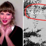 Taylor Swift Shut Down Those "Woodvale" Third Album Theories And Said The Whole Thing Was Actually Sparked By Her Own Mistake