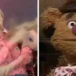 The 24 Best "Muppet Show" Moments
