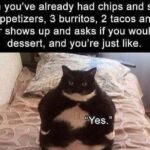21 Animal Memes That Are So Relatable, They'll Give You A Gigglegasm