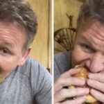 Gordon Ramsay Was Accused Of "Hurting Animals" By A Vegan TikToker, And He Responded By Eating A Burger