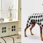 31 Pet Products From Target That Are Surprisingly Stylish